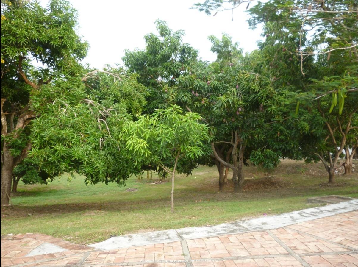 Hacienda Hotel Boutique Campestre Las Palomas Tocaima Exterior photo